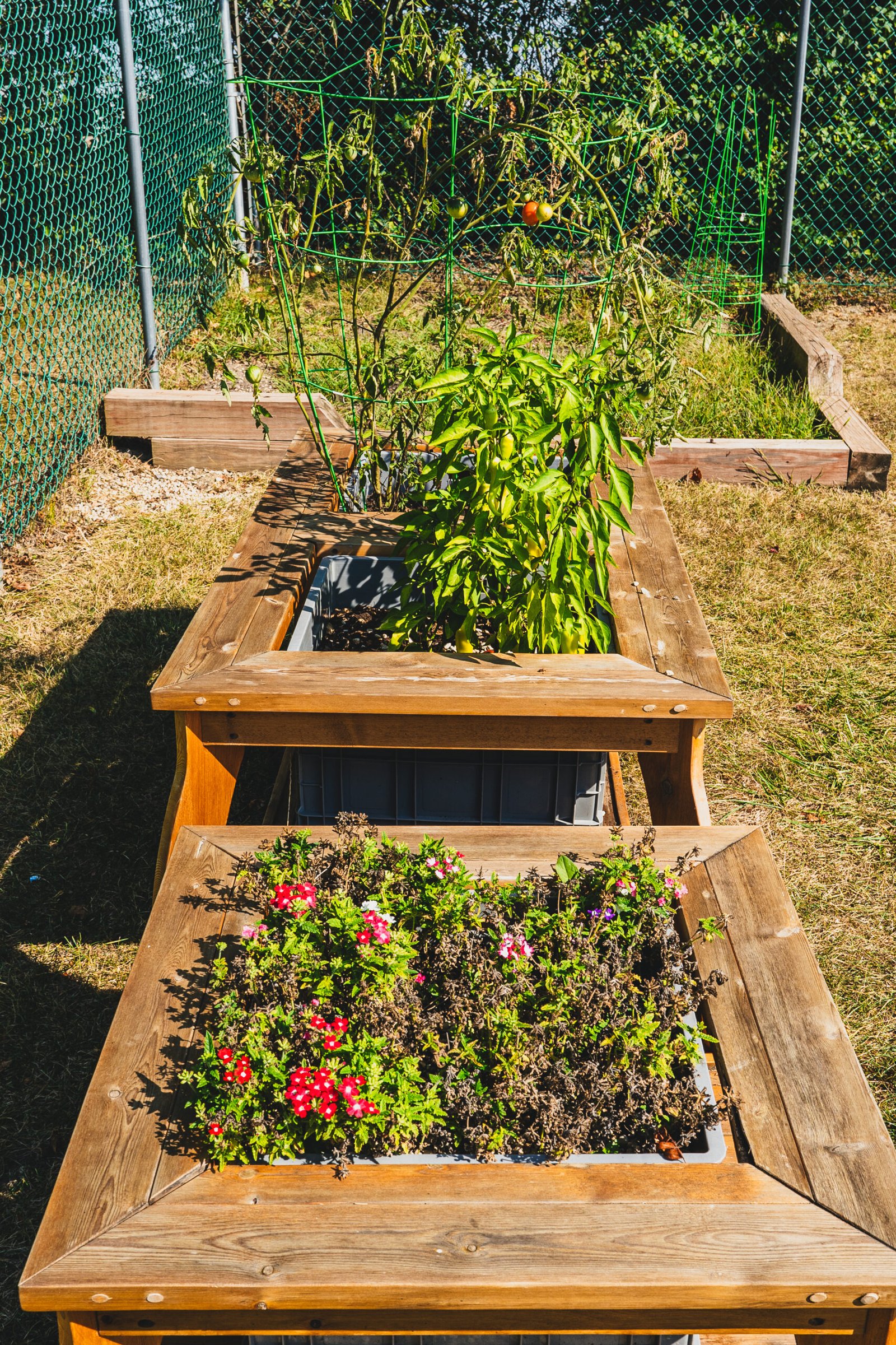Kiddy Garden Enrichment Program collaborative group exploration